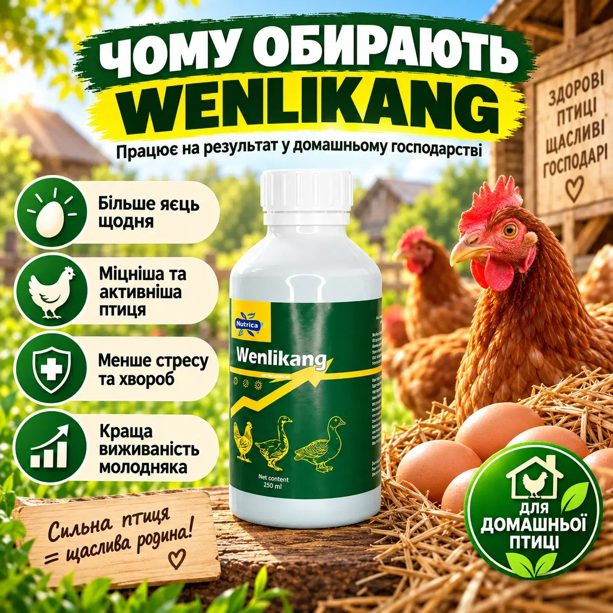 Переваги Wenlikang