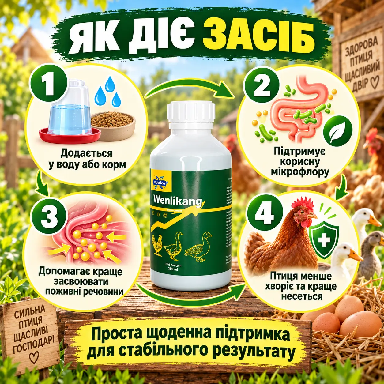 Як діє Wenlikang