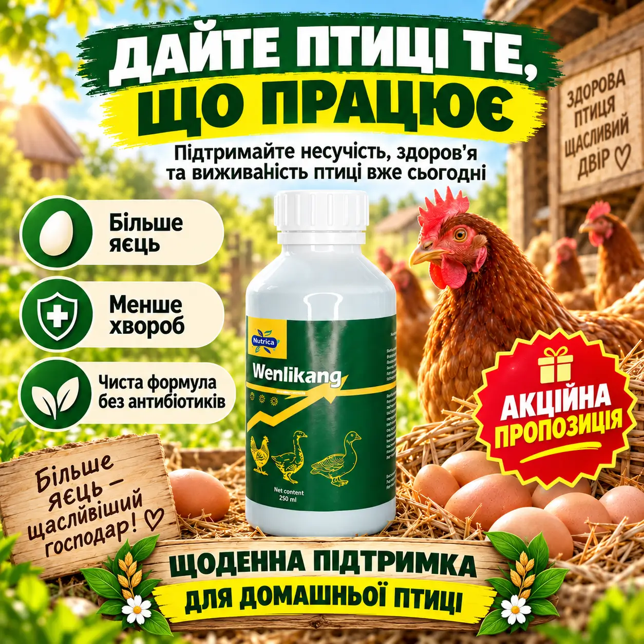 Замовити Wenlikang