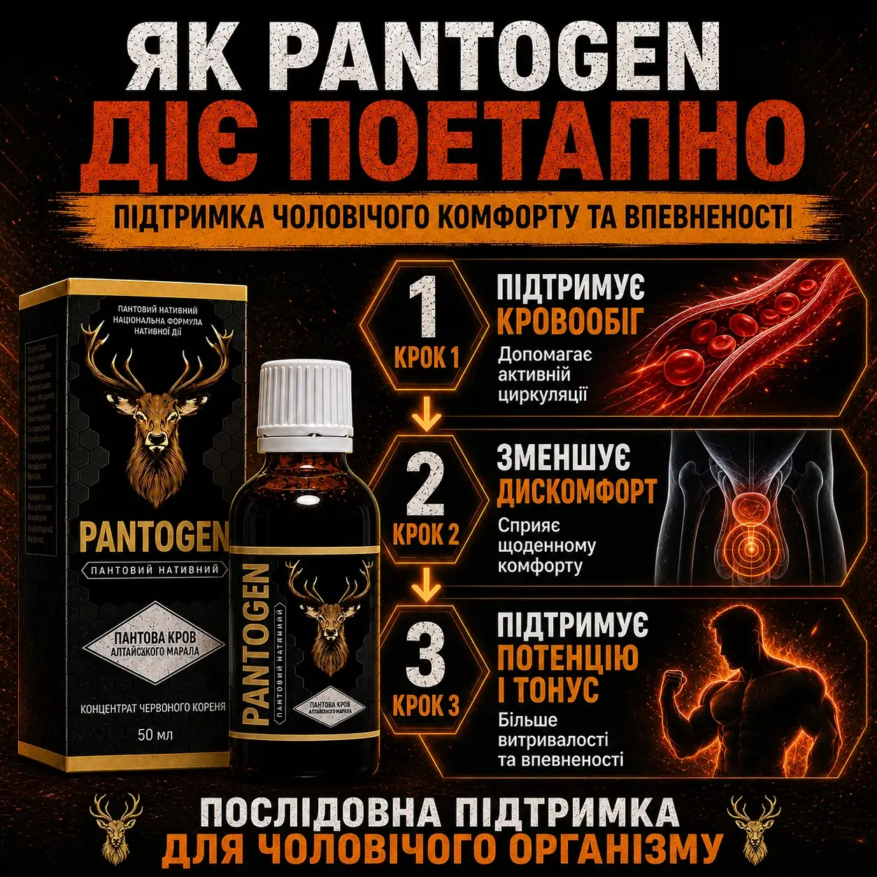 Pantogen — підтримка чоловічого тонусу